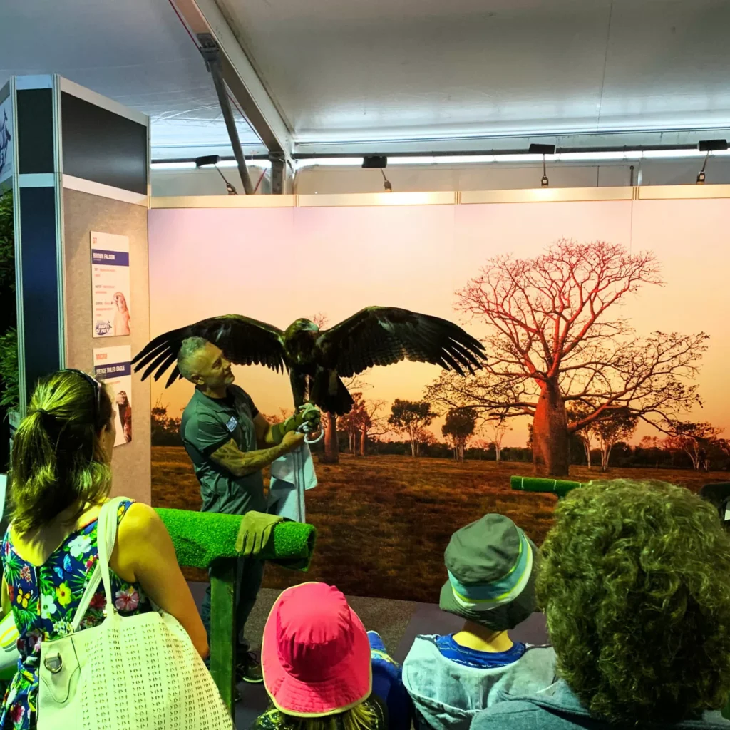 A man holds a large eagle in an exhibition with people watching. Behind them is a vivid backdrop of a sunset landscape with a lone tree.